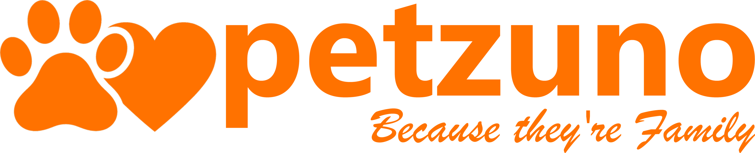 Petzuno Transparent Logo